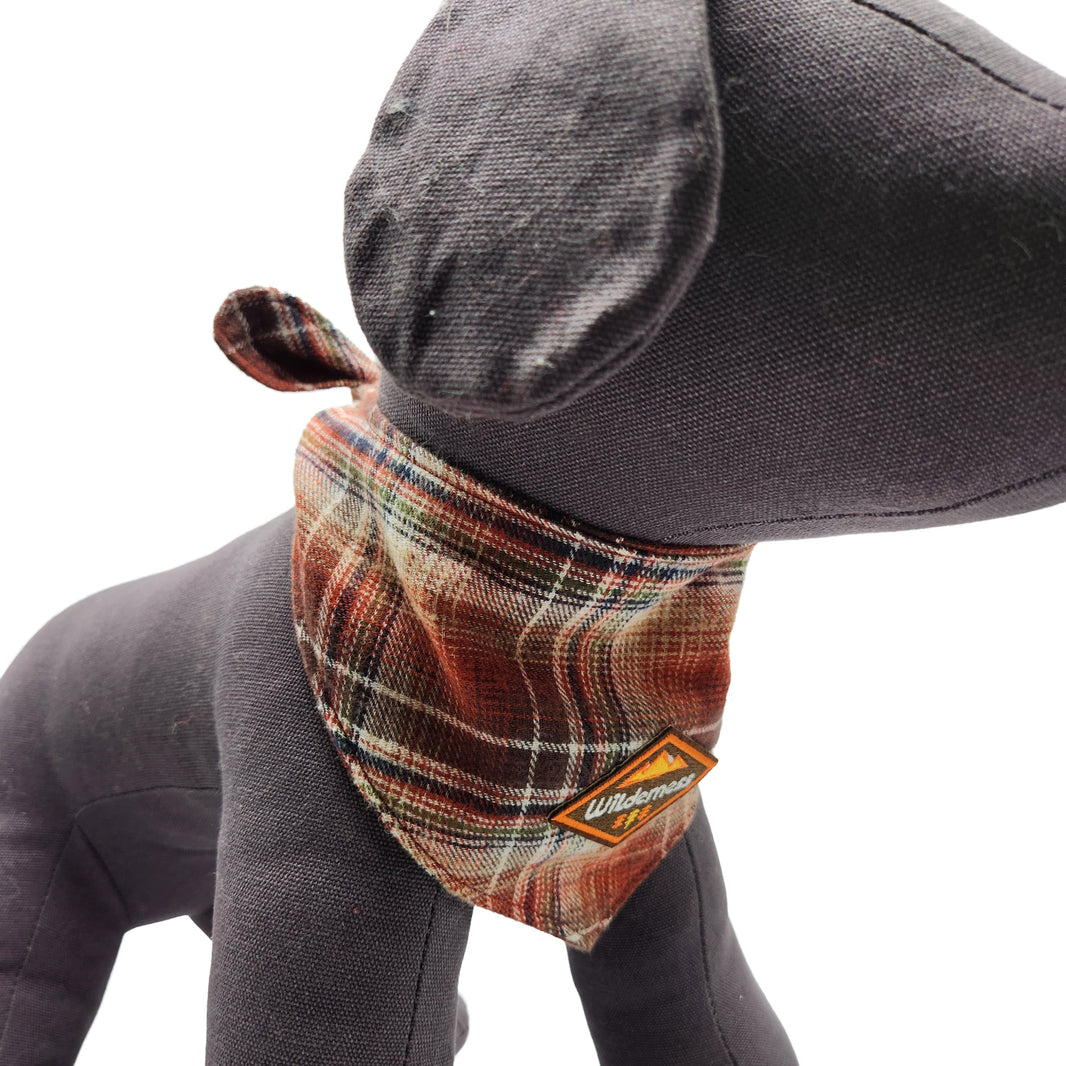 Gray dog with a plaid bandana on a white background