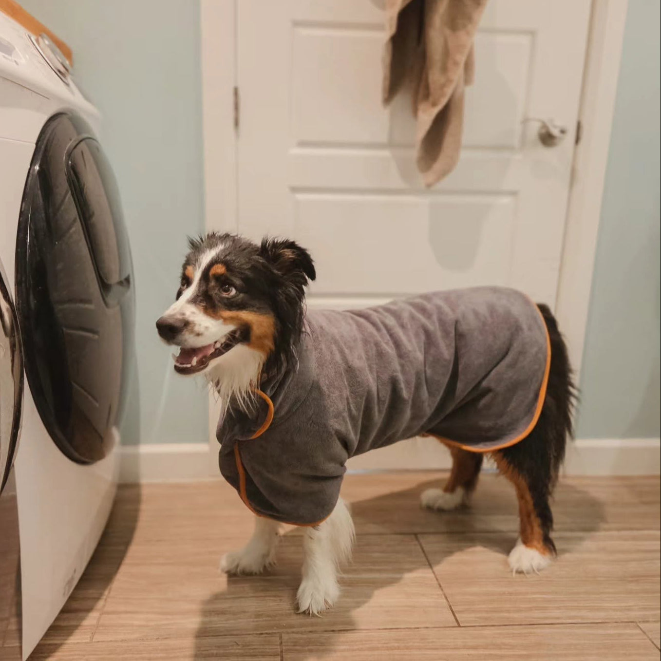A small black, white, and tan dog wearing a gray pet coat with orange trim stands on a wood floor next to a washing machine in a home laundry room. French text at the bottom reads 'Je le referais tellement.