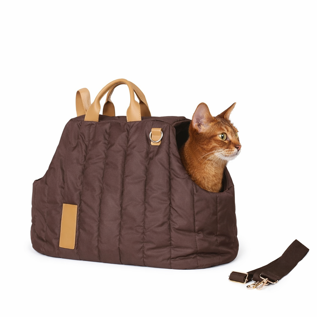 cat inside a pet carrier
