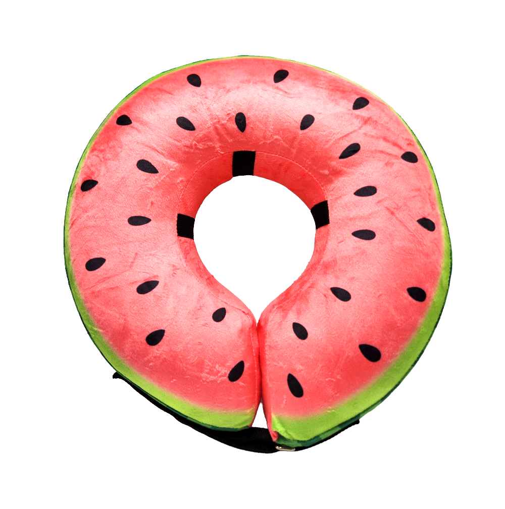 Watermelon-patterned neck dog recovery donut