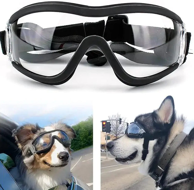 Dog goggles with a collage of dogs wearing them in various settings.