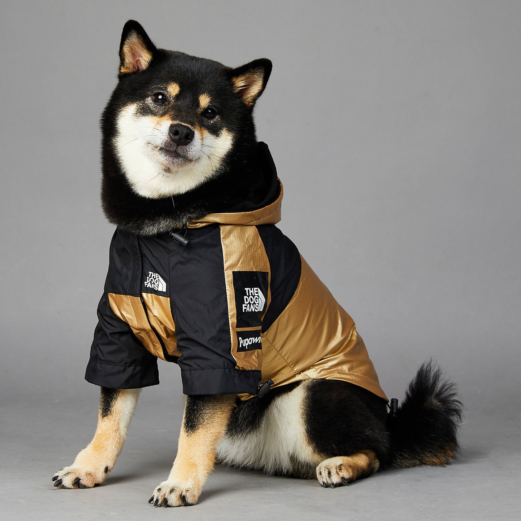 Dog wearing a black and brown coat with visible branding on a gray background