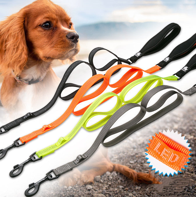 Dog leashes in various colors with a dog and LED label in the background