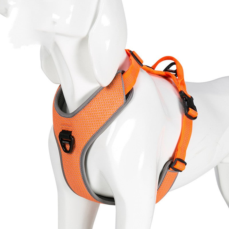 Orange dog harness on a white mannequin