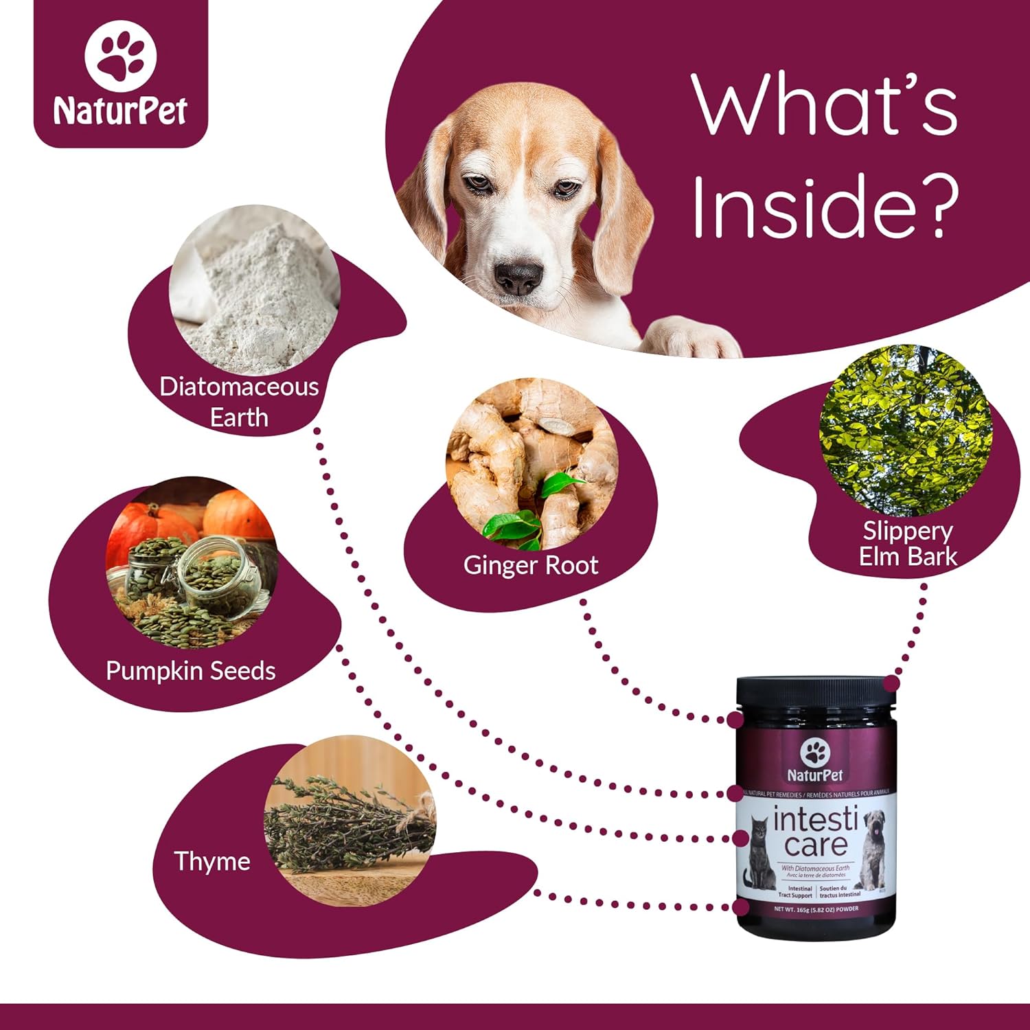 NaturPet product with ingredients and a dog's face, labeled 'What's Inside?'.