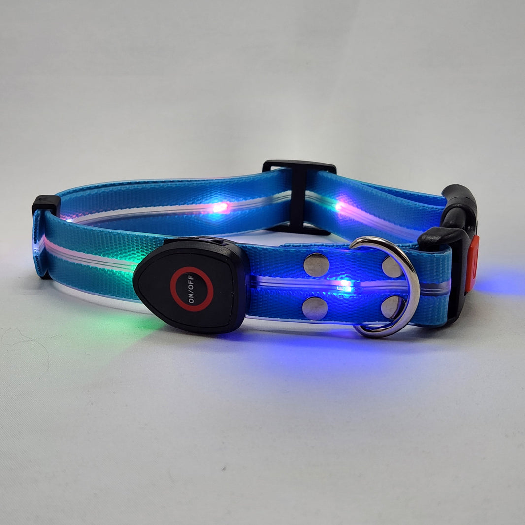 Blue LED dog collar with light-up feature on a white background