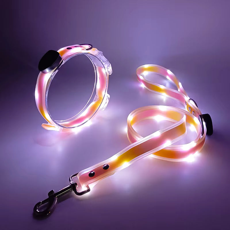 LED dog collar and leash set on a purple background