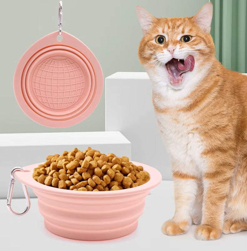Cat next to a pink collapsible pet bowl filled with kibble and a matching pink silicone lid.