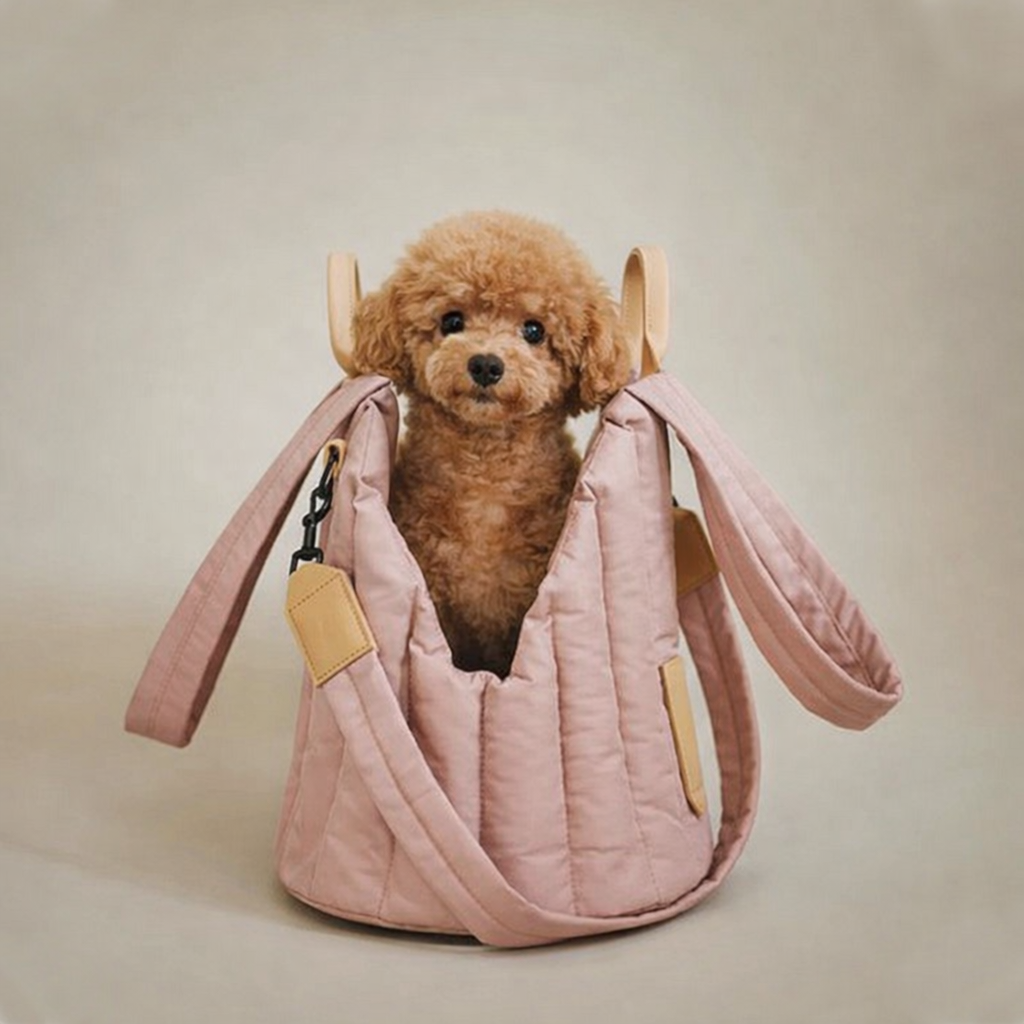 Small brown dog in a pink pet carrier on a beige background